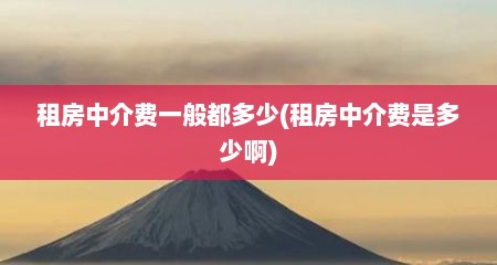 租房中介费一般都多少(租房中介费是多少啊)