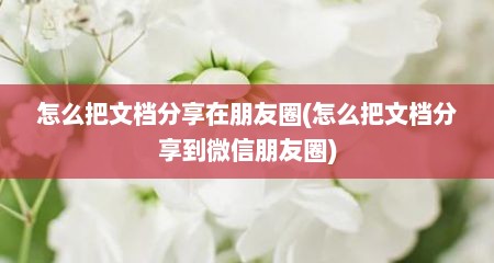 怎么把文档分享在朋友圈(怎么把文档分享到微信朋友圈)