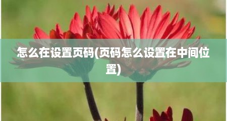 怎么在设置页码(页码怎么设置在中间位置)
