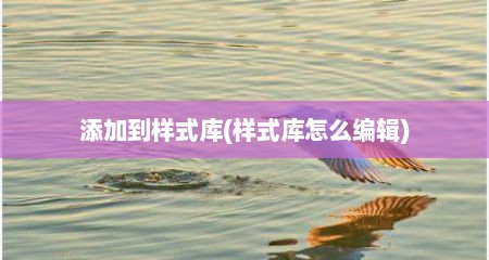 添加到样式库(样式库怎么编辑)