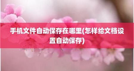 手机文件自动保存在哪里(怎样给文档设置自动保存)
