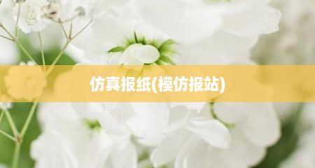 仿真报纸(模仿报站)