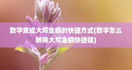 数字变成大写金额的快捷方式(数字怎么转换大写金额快捷键)