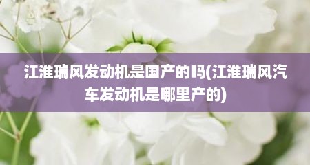 江淮瑞风发动机是国产的吗(江淮瑞风汽车发动机是哪里产的)