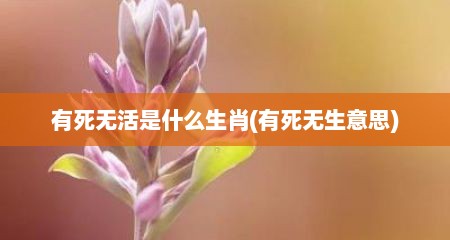 有死无活是什么生肖(有死无生意思)