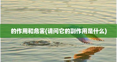 的作用和危害(请问它的副作用是什么)