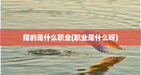 指的是什么职业(职业是什么呀)