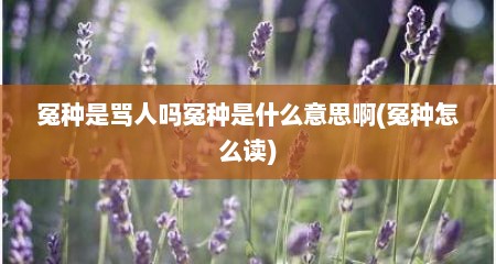 冤种是骂人吗冤种是什么意思啊(冤种怎么读)