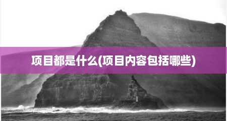 项目都是什么(项目内容包括哪些)