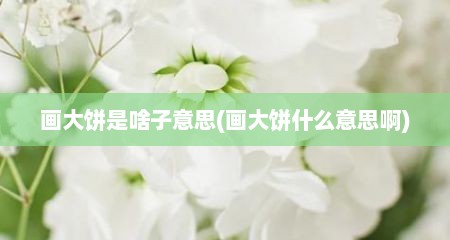 画大饼是啥子意思(画大饼什么意思啊)
