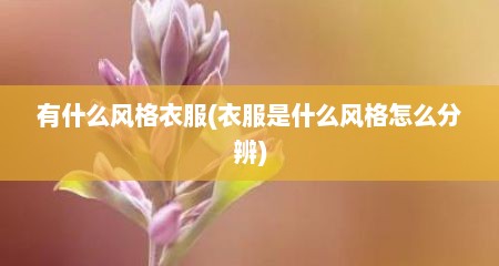 有什么风格衣服(衣服是什么风格怎么分辨)