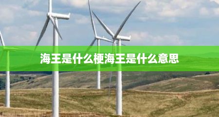 海王是什么梗海王是什么意思