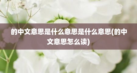 的中文意思是什么意思是什么意思(的中文意思怎么读)