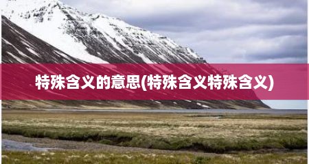 特殊含义的意思(特殊含义特殊含义)
