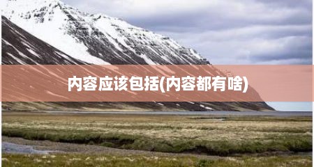 内容应该包括(内容都有啥)