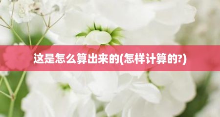 这是怎么算出来的(怎样计算的?)