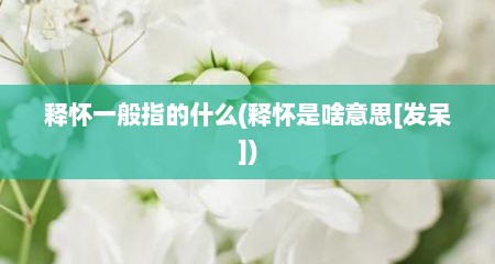 释怀一般指的什么(释怀是啥意思[发呆])