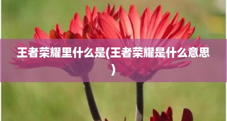 王者荣耀里什么是(王者荣耀是什么意思)