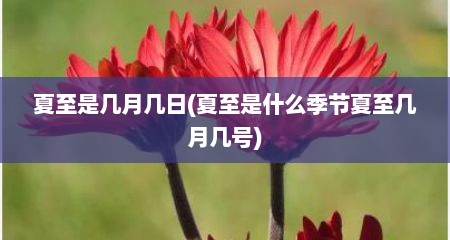 夏至是几月几日(夏至是什么季节夏至几月几号)