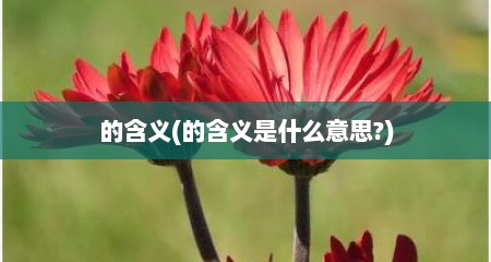 的含义(的含义是什么意思?)