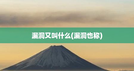 漏洞又叫什么(漏洞也称)
