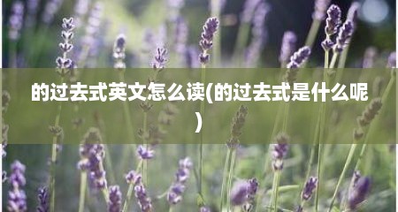 的过去式英文怎么读(的过去式是什么呢)