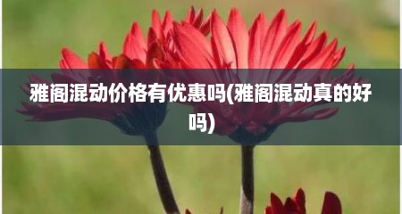 雅阁混动价格有优惠吗(雅阁混动真的好吗)