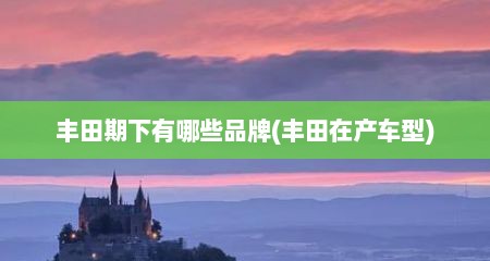 丰田期下有哪些品牌(丰田在产车型)