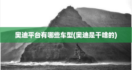 奥迪平台有哪些车型(奥迪是干啥的)