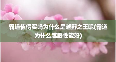 霸道值得买吗为什么是越野之王呢(霸道为什么越野性能好)