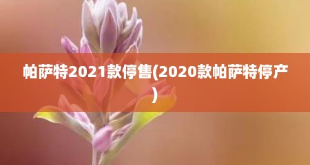 帕萨特2021款停售(2020款帕萨特停产)