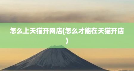 怎么上天猫开网店(怎么才能在天猫开店)