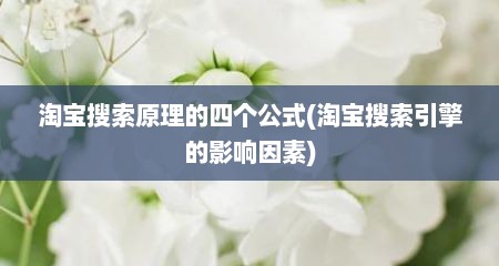 淘宝搜索原理的四个公式(淘宝搜索引擎的影响因素)