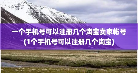 一个手机号可以注册几个淘宝卖家帐号(1个手机号可以注册几个淘宝)