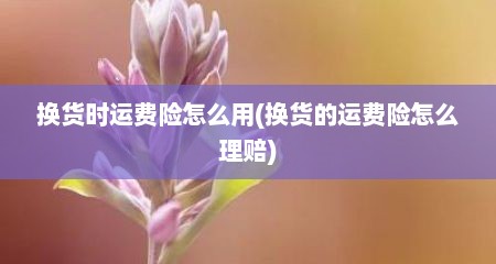换货时运费险怎么用(换货的运费险怎么理赔)