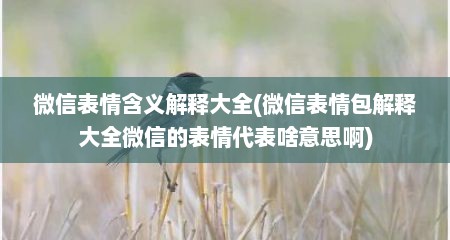 微信表情含义解释大全(微信表情包解释大全微信的表情代表啥意思啊)
