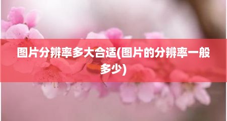 图片分辨率多大合适(图片的分辨率一般多少)