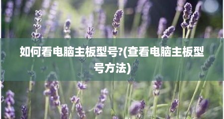 如何看电脑主板型号?(查看电脑主板型号方法)