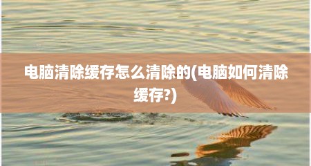 电脑清除缓存怎么清除的(电脑如何清除缓存?)