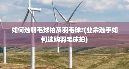 如何选羽毛球拍及羽毛球?(业余选手如何选购羽毛球拍)