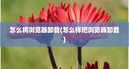 怎么将浏览器卸载(怎么样把浏览器卸载)