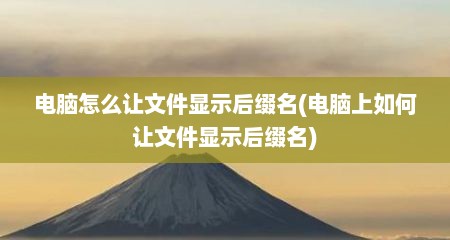 电脑怎么让文件显示后缀名(电脑上如何让文件显示后缀名)