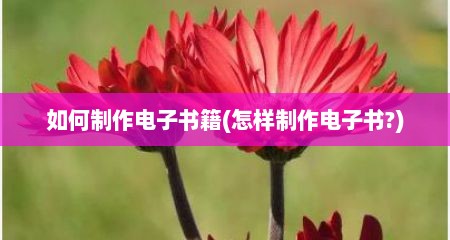 如何制作电子书籍(怎样制作电子书?)