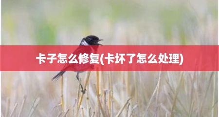 卡子怎么修复(卡坏了怎么处理)