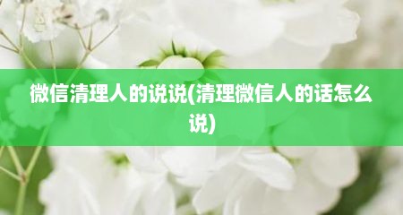 微信清理人的说说(清理微信人的话怎么说)