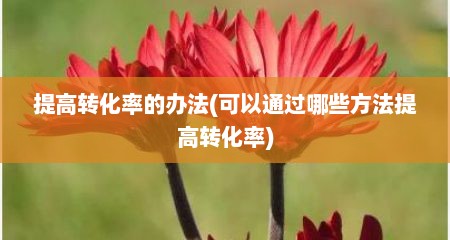 提高转化率的办法(可以通过哪些方法提高转化率)