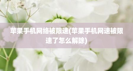 苹果手机网络被限速(苹果手机网速被限速了怎么解除)