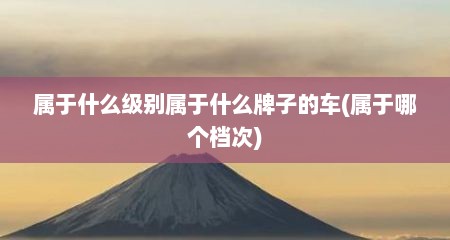 属于什么级别属于什么牌子的车(属于哪个档次)