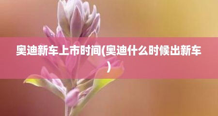 奥迪新车上市时间(奥迪什么时候出新车)