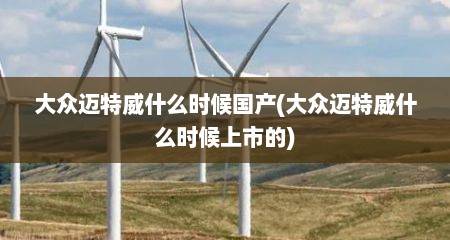 大众迈特威什么时候国产(大众迈特威什么时候上市的)